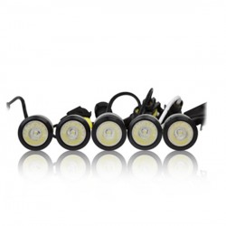 Πρόσθετο DAYLINE Διεθνή 10LED (2 σειρές X5 LED) HP 12V μαύρο Πρόσθετο DAYLINE Διεθνή 10LED (2 σειρές X5 LED) HP 12V μαύρο