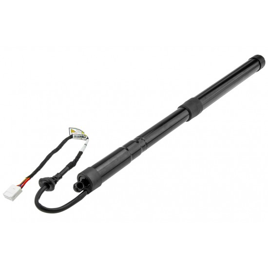 ΔΕΞΙ ΗΛΕΚΤΡΙΚΟ ΑΜΟΡΤΙΣΕΡ ΠΟΡΤ ΜΠΑΓΚΑΖ ΓΙΑ TOYOTA RAV4 V 2018+ 479mm/550N orig.68910-0R060