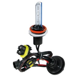 H11 HID XENON ΛΑΜΠΑ 12/24V - 6.000k ΓΙΑ ΚΙΤ XENON - 1 ΤΕΜ. H11 HID XENON ΛΑΜΠΑ 12/24V - 6.000k ΓΙΑ ΚΙΤ XENON - 1 ΤΕΜ.