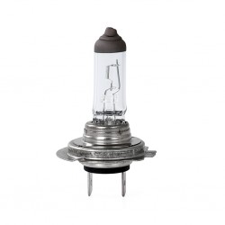 H18 12V 65W PY26d-1 STANDARD LINE ΑΛΟΓΟΝΟΥ (ΚΟΥΤΙ) - 1 ΤΕΜ. M-TECH H18 12V 65W PY26d-1 STANDARD LINE ΑΛΟΓΟΝΟΥ (ΚΟΥΤΙ) - 1 ΤΕΜ. M-TECH